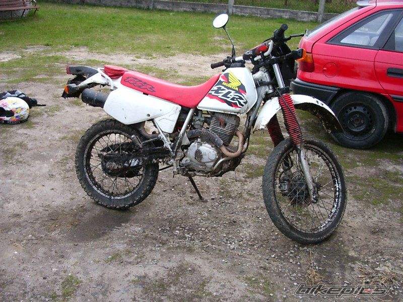 1999 HONDA XLR125 | Picture 781059 motorcycle photo