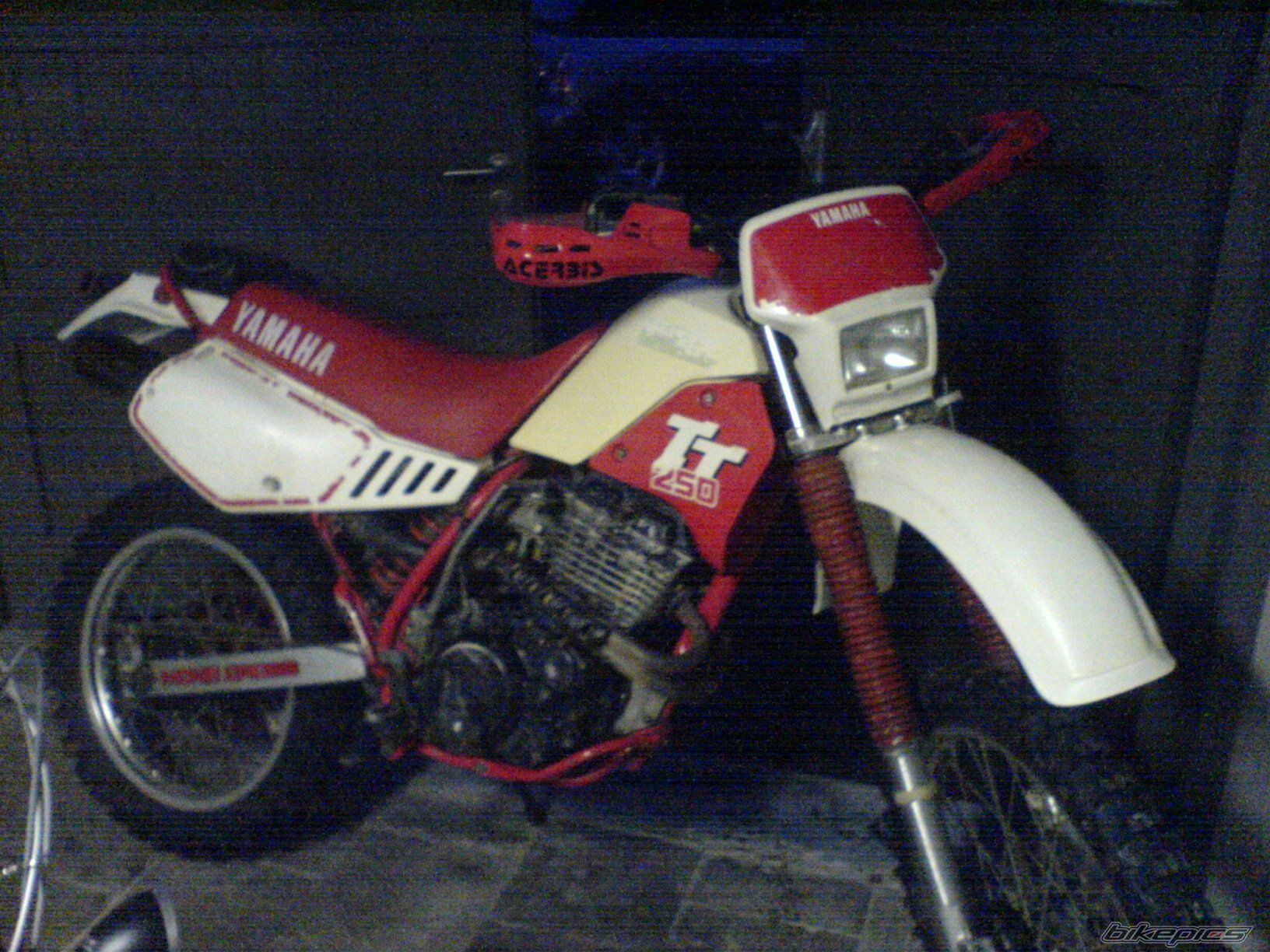 1988 YAMAHA TTR 250 | Picture 781192 motorcycle photo
