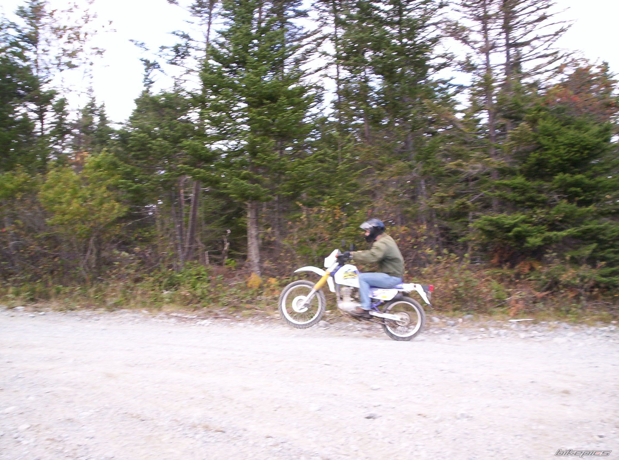 1998 SUZUKI DR 200 | Picture 781255 motorcycle photo