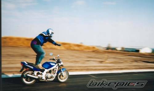 2001 SUZUKI GS 500 | Picture 78182 motorcycle photo