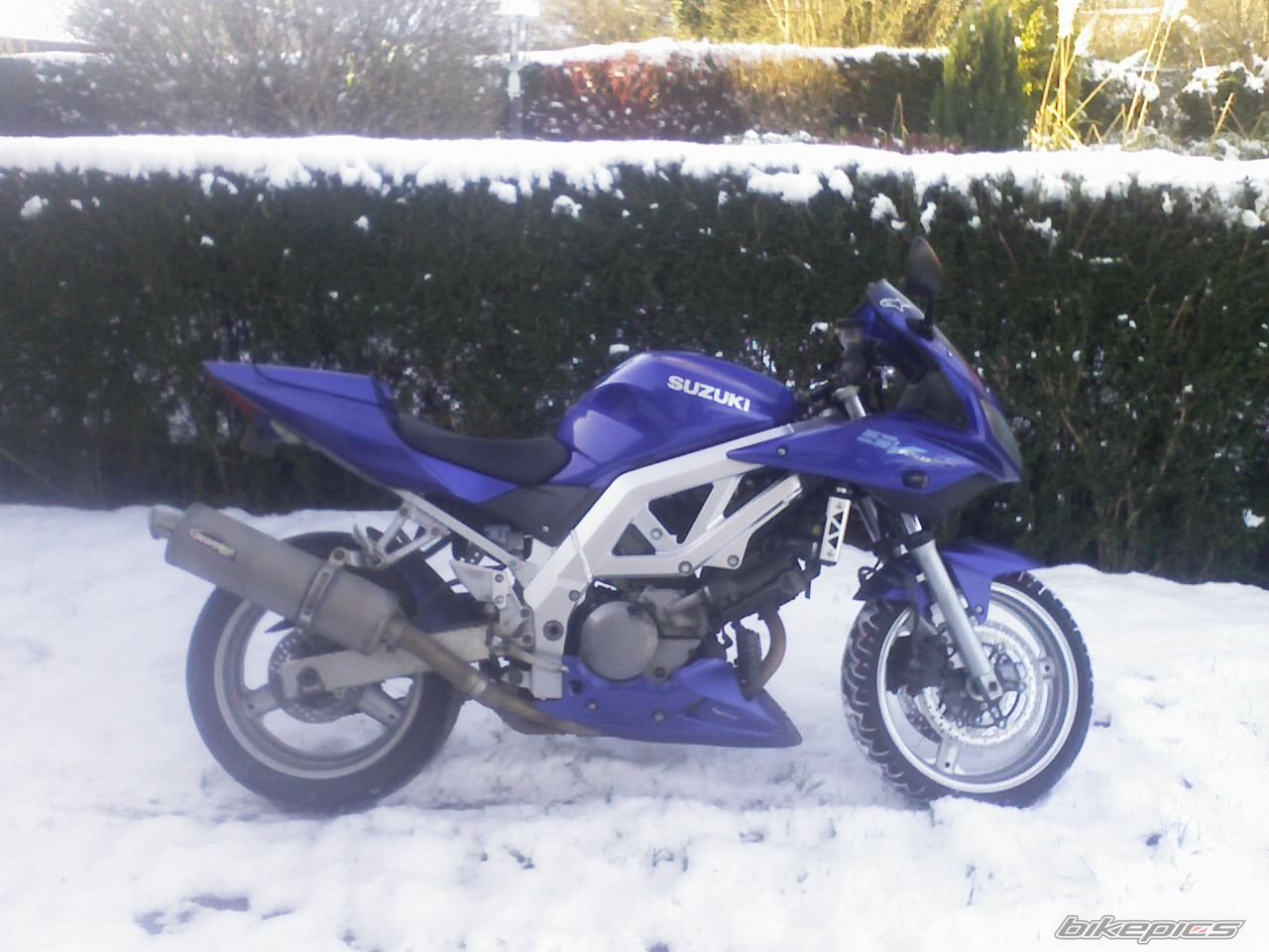 2003 SUZUKI SV 650S | Picture 781889 motorcycle photo