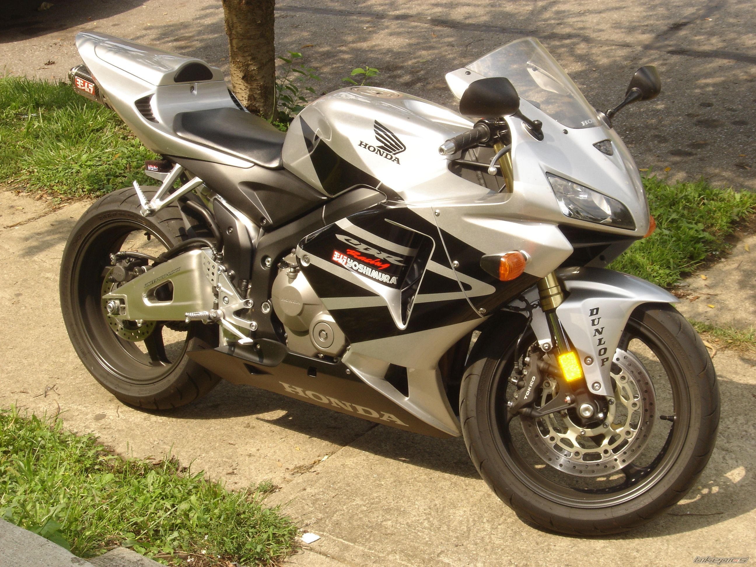 2005 HONDA CBR 600 RR | Picture 782481 motorcycle photo