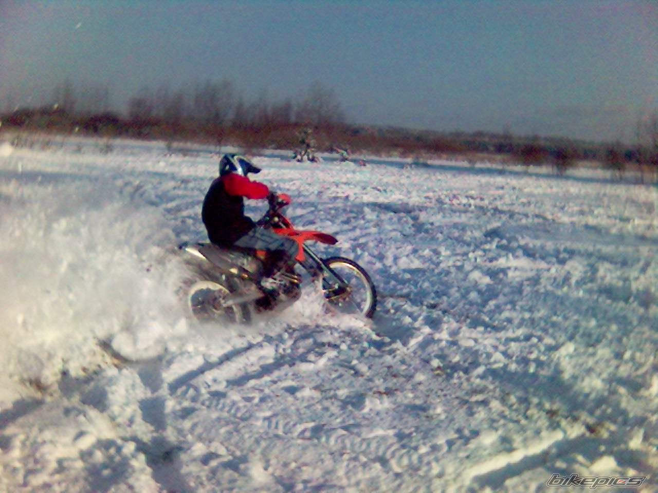 2002 KTM 520 EXC | Picture 782597 motorcycle photo