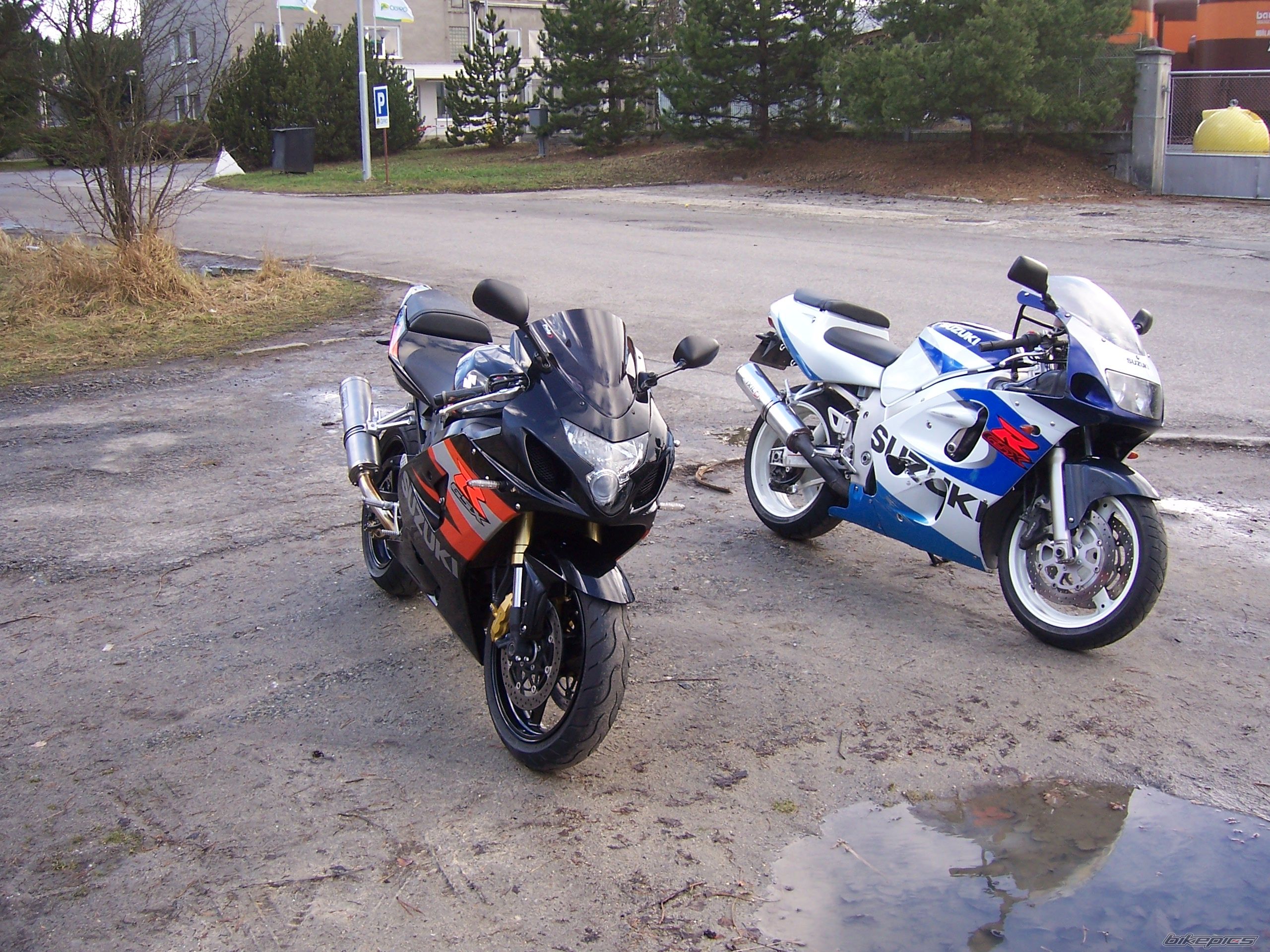2004 SUZUKI GSX R 600 | Picture 782600 motorcycle photo