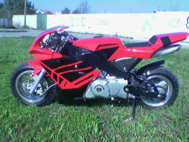 2007 POLINI 911 | Picture 783310 motorcycle photo