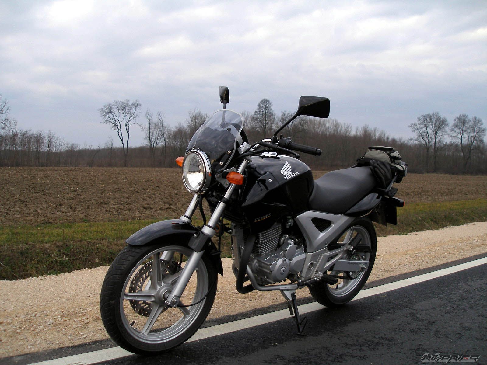 2006 HONDA CBF 250 | Picture 783661 motorcycle photo