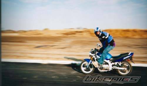 2001 SUZUKI GS 500 | Picture 78415 motorcycle photo