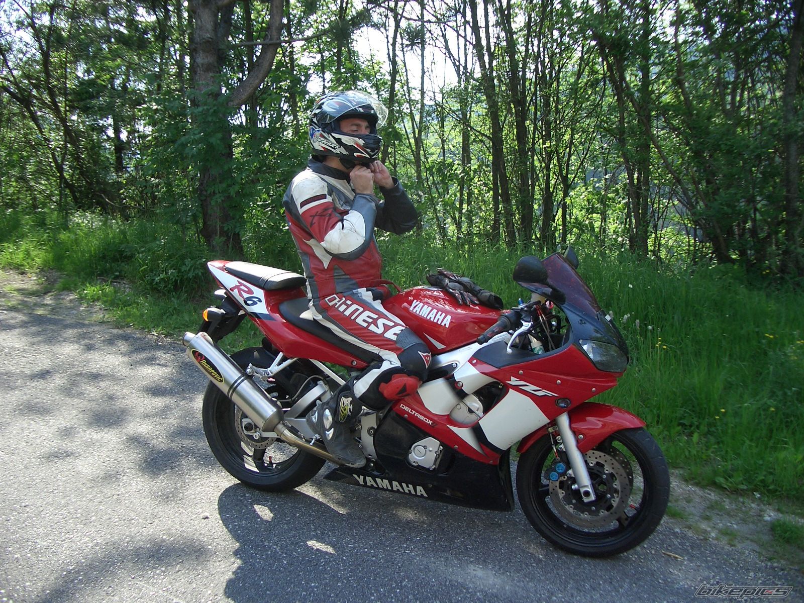 2002 YAMAHA YZF R6 | Picture 784313 motorcycle photo