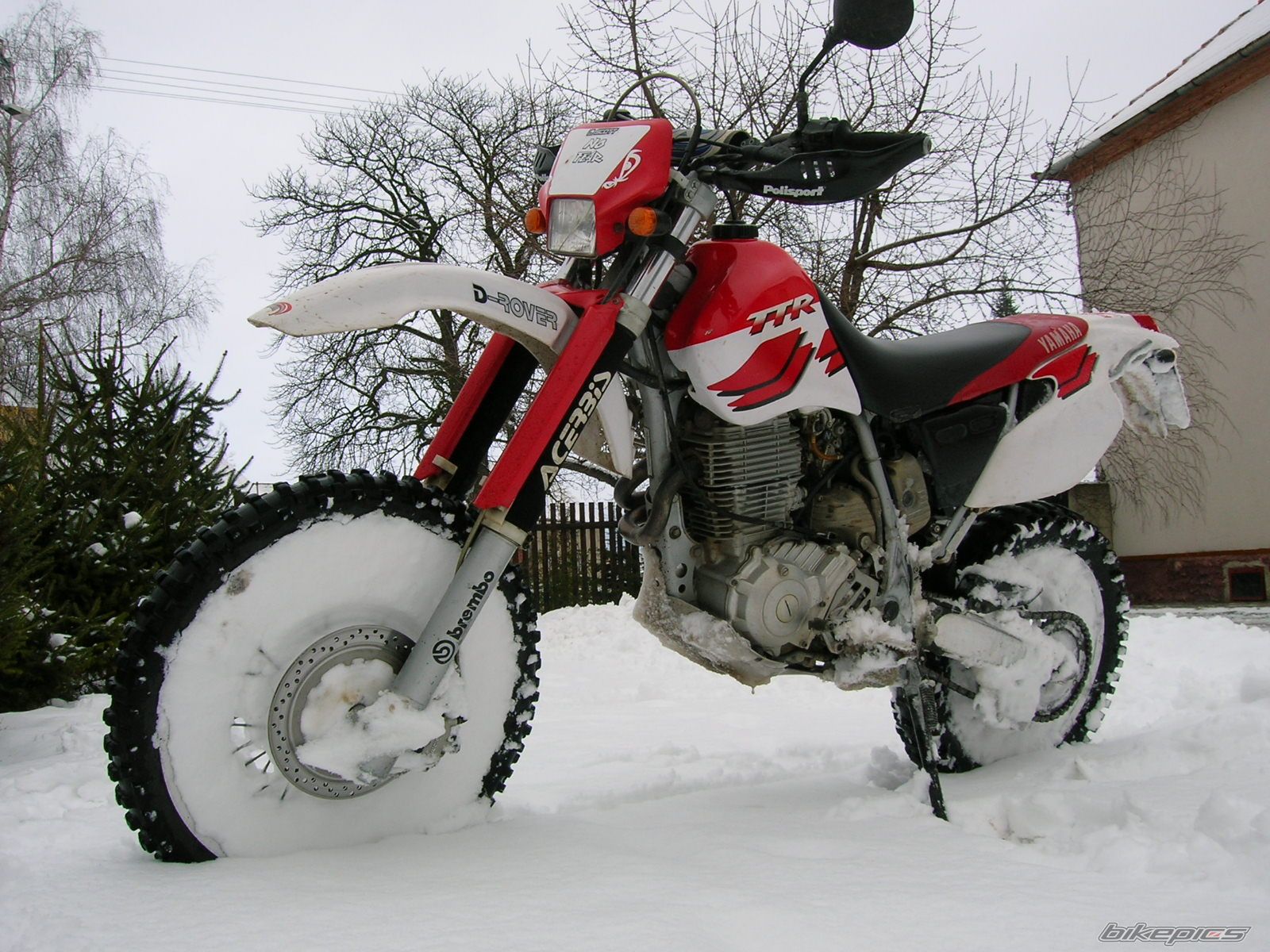 1999 YAMAHA TTR 600 | Picture 784442 motorcycle photo