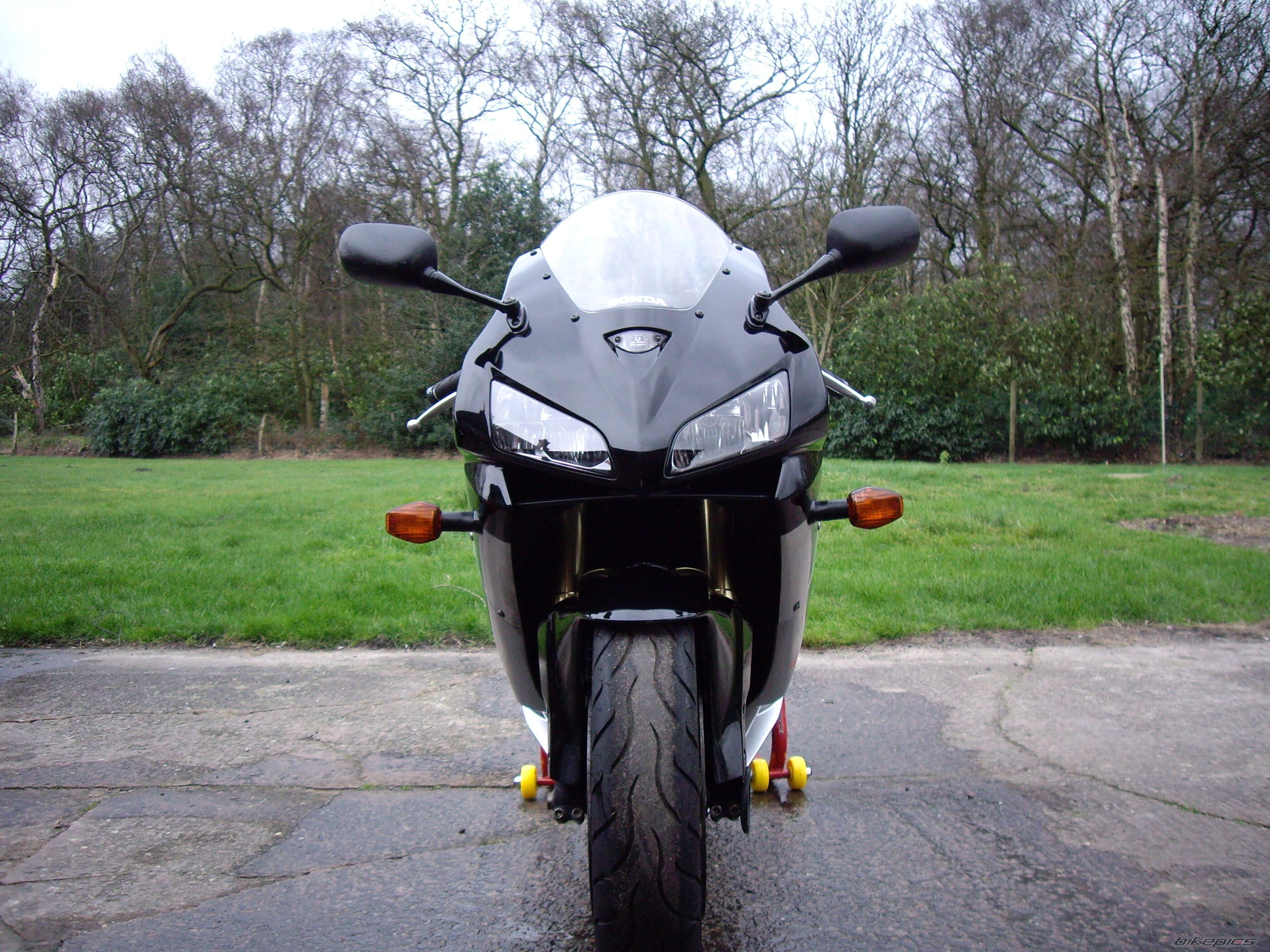 2005 HONDA CBR 600 RR | Picture 784639 motorcycle photo