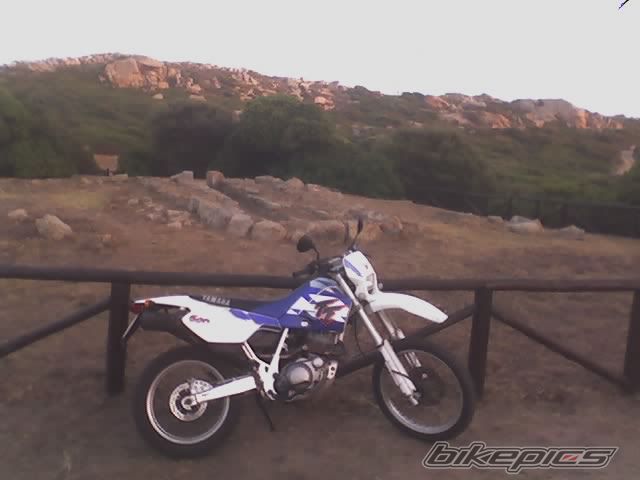 1999 YAMAHA TT600E | Picture 784748 motorcycle photo