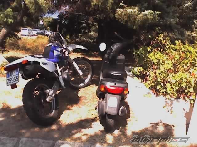 1999 YAMAHA TT600E | Picture 784759 motorcycle photo