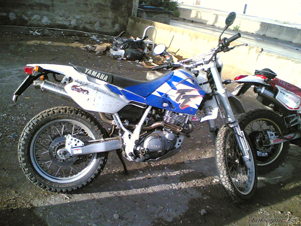 1999 YAMAHA TT600E | Picture 784859 motorcycle photo