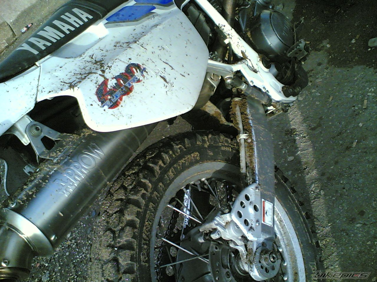 1999 YAMAHA TT600E | Picture 784862 motorcycle photo