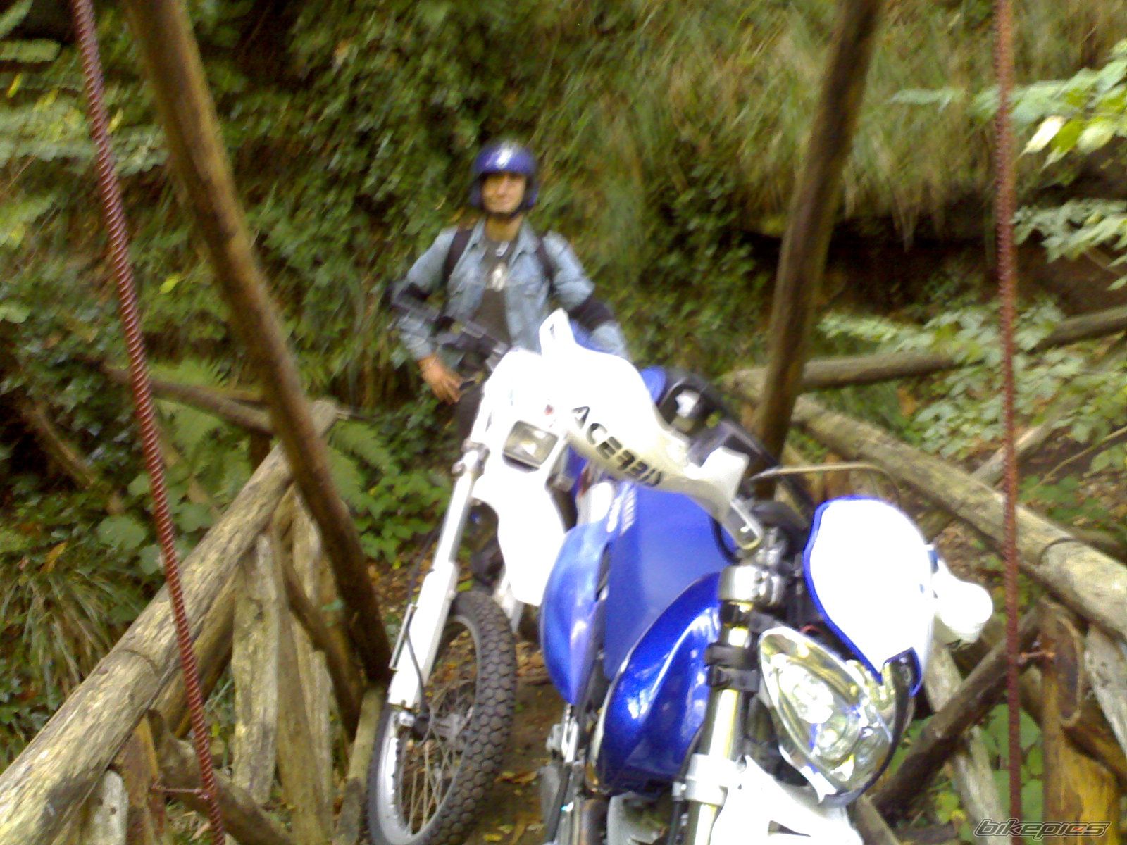 1999 YAMAHA TT600E | Picture 784882 motorcycle photo
