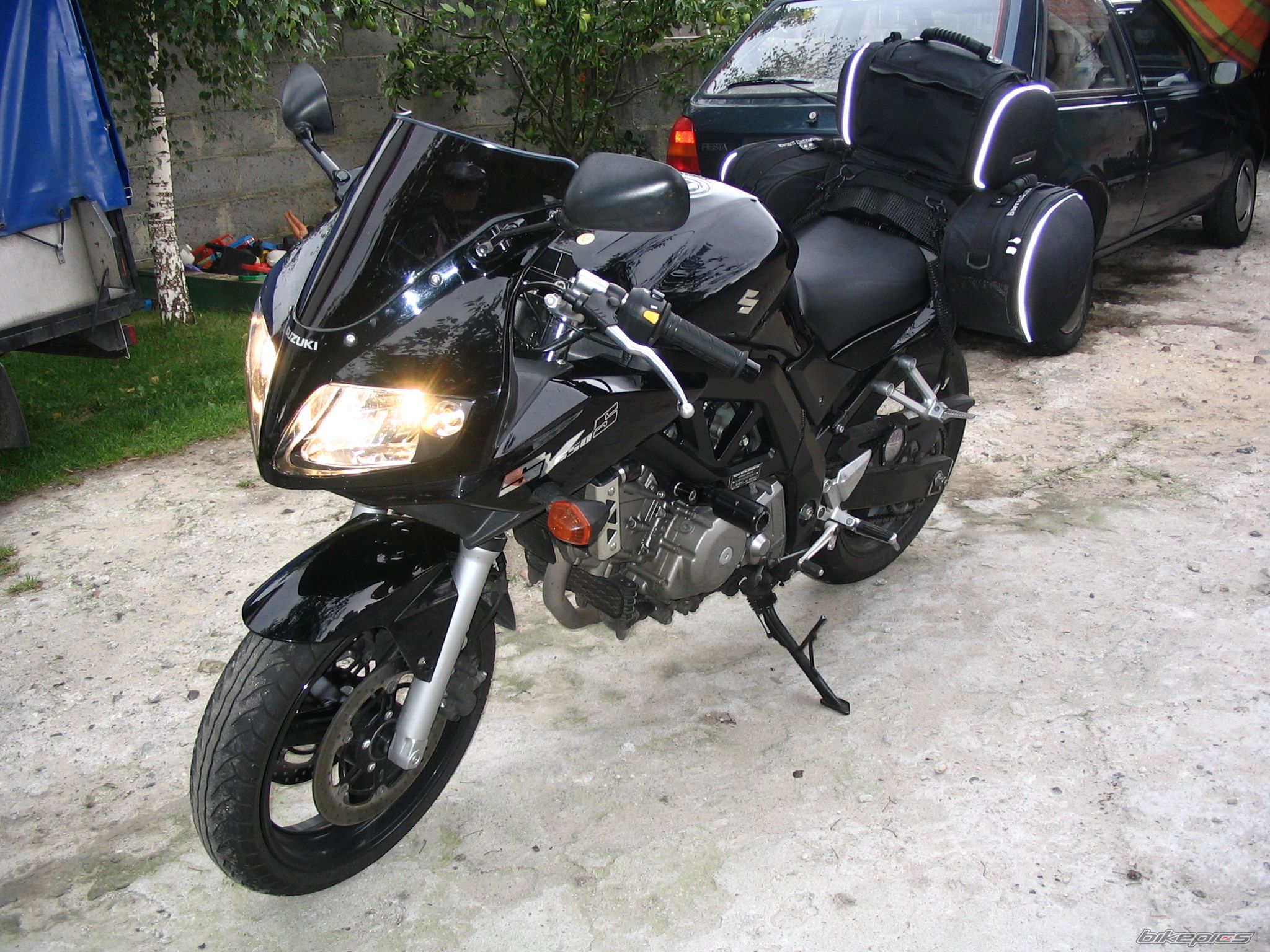 2005 SUZUKI SV 650S | Picture 785030 motorcycle photo