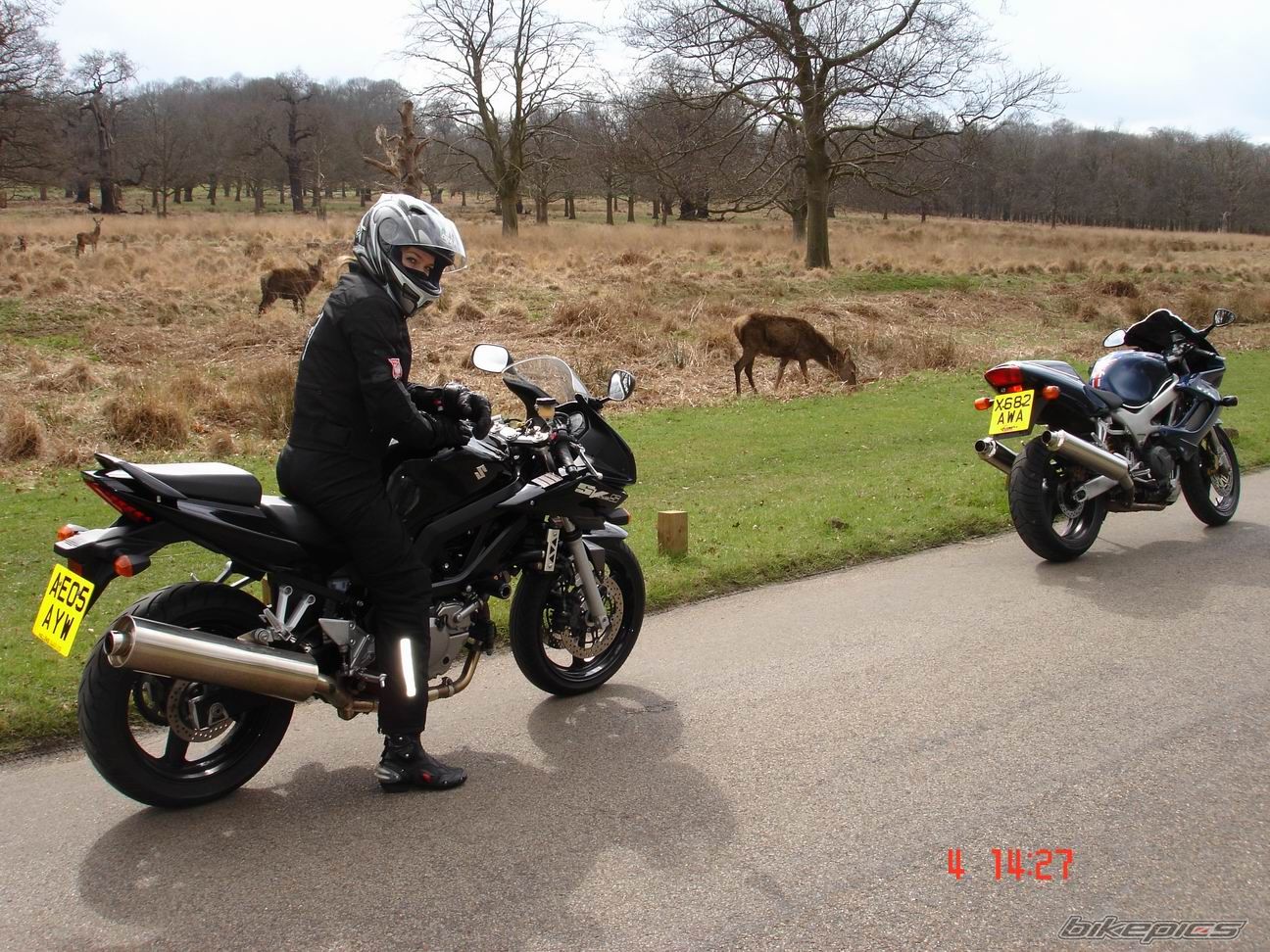 2005 SUZUKI SV 650S | Picture 785057 motorcycle photo