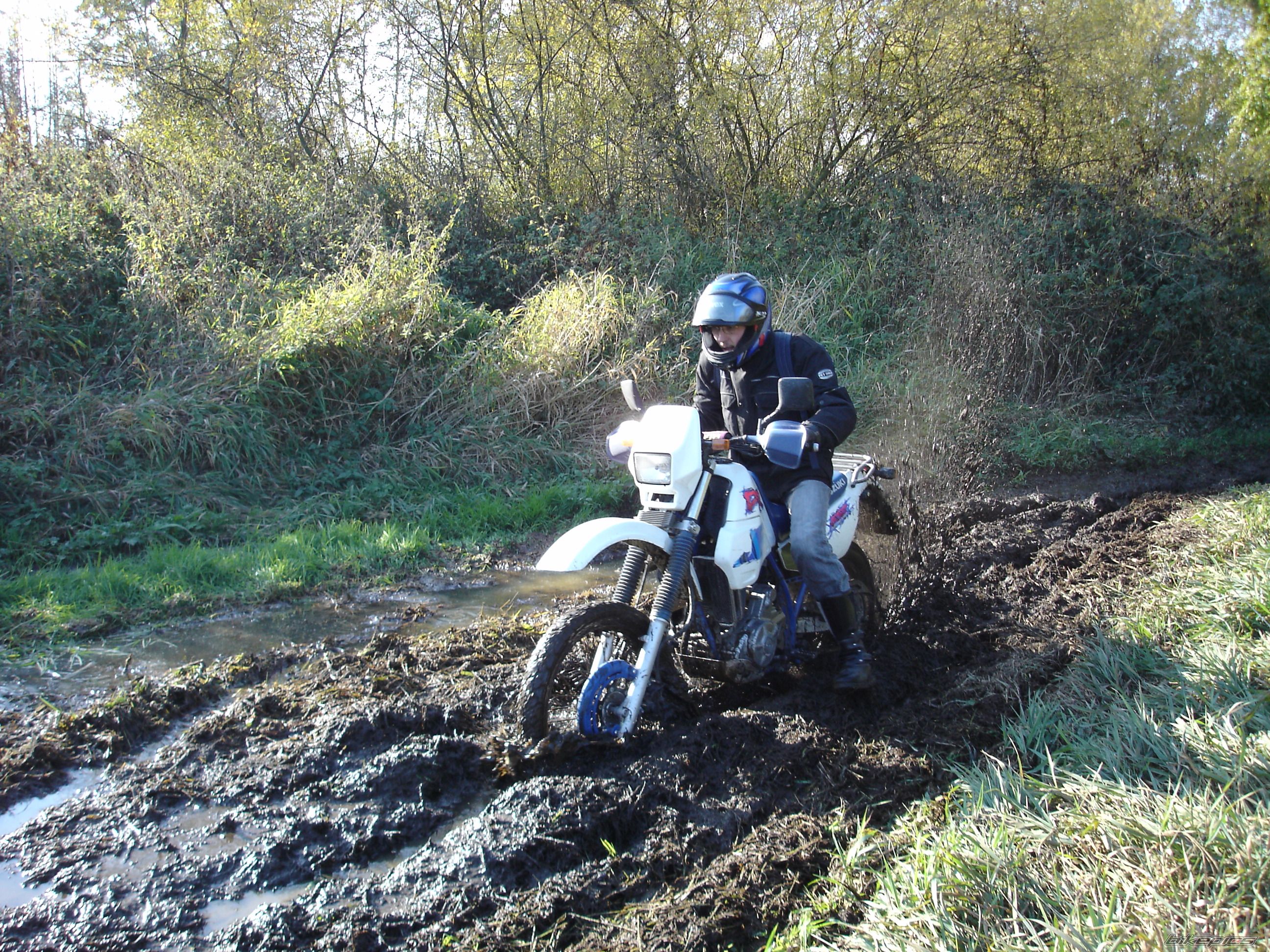 1994 SUZUKI DR 650 | Picture 785091 motorcycle photo