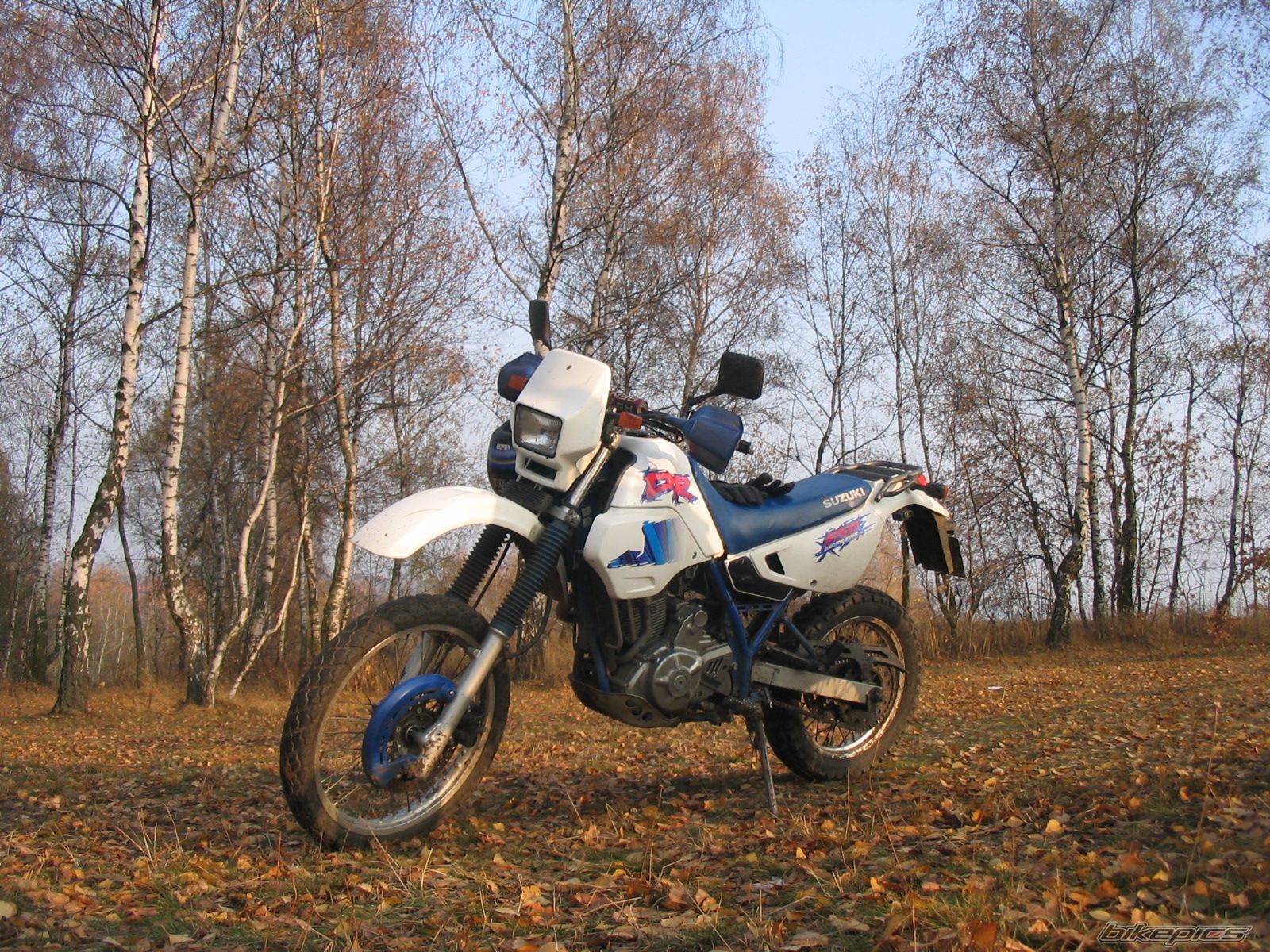 1994 SUZUKI DR 650 | Picture 785119 motorcycle photo