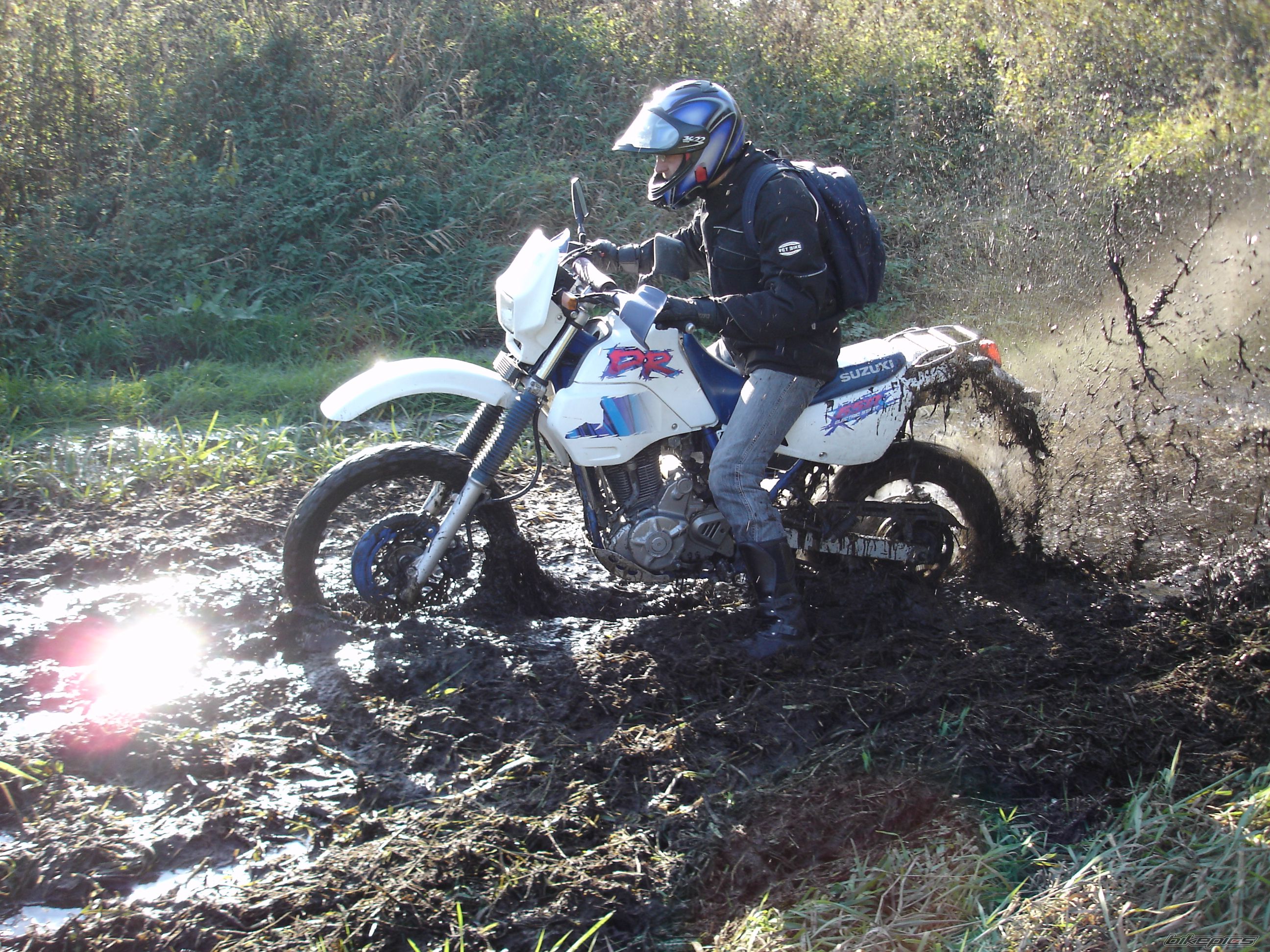 1994 SUZUKI DR 650 | Picture 785121 motorcycle photo