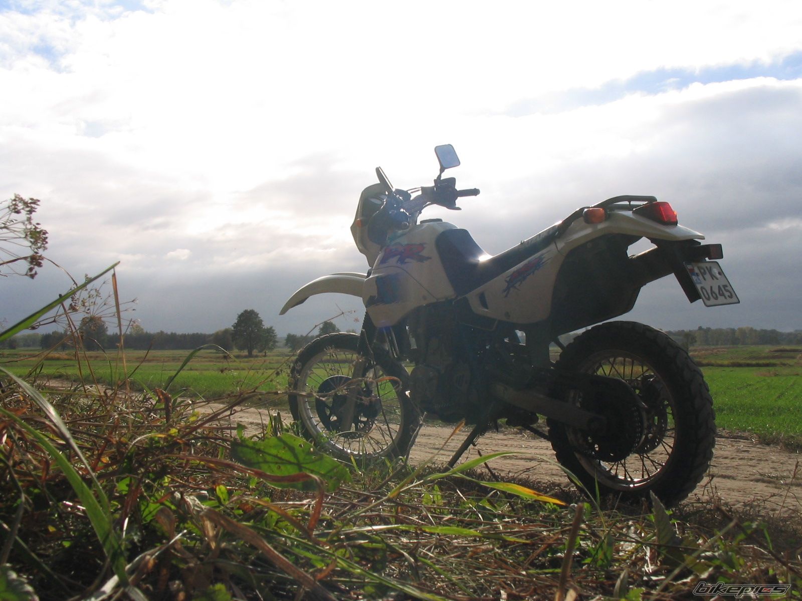 1994 SUZUKI DR 650 | Picture 785125 motorcycle photo