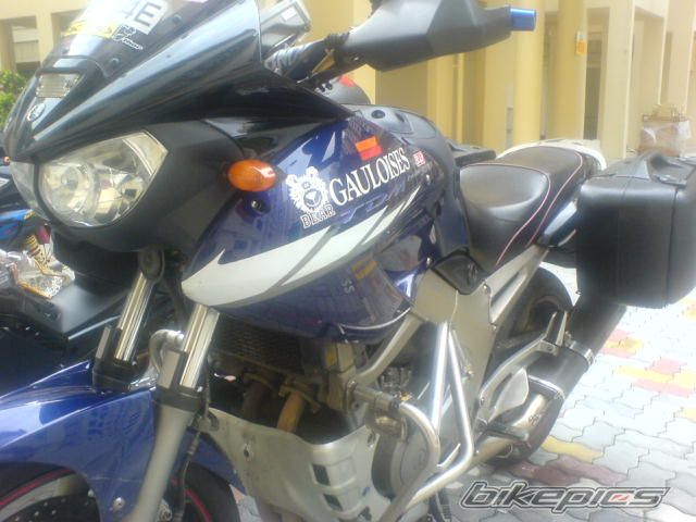 2003 YAMAHA TDM 900 | Picture 785156 motorcycle photo