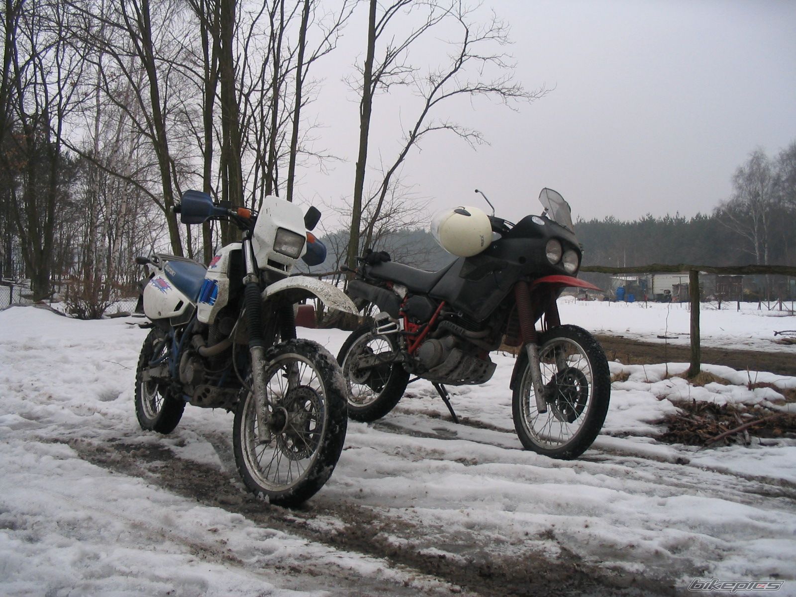 1994 SUZUKI DR 650 | Picture 785321 motorcycle photo