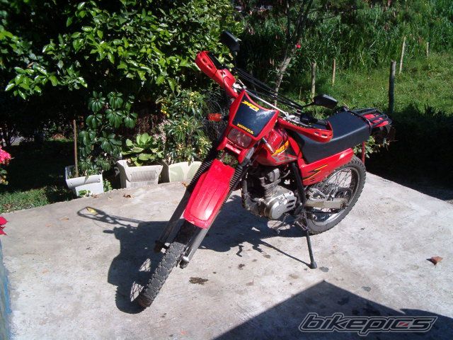 1981 HONDA XR 200 | Picture 785332 motorcycle photo