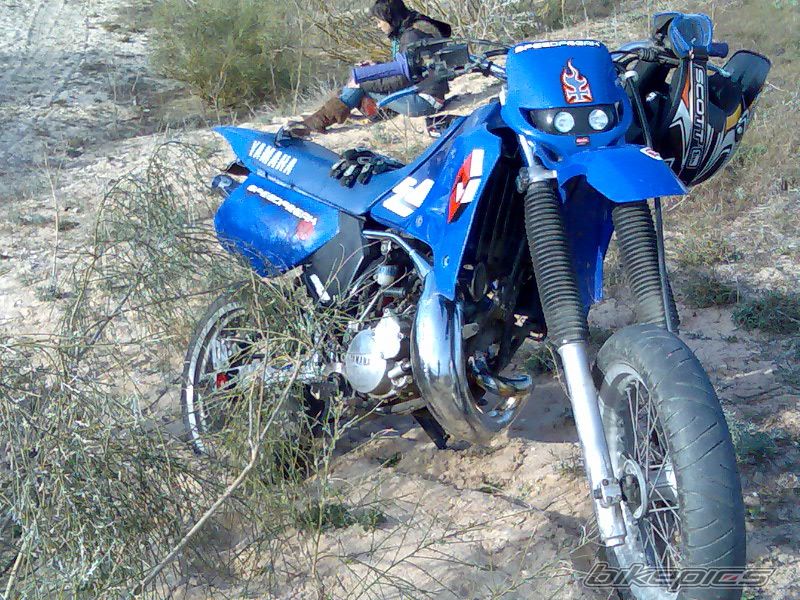 2000 YAMAHA DT 125 | Picture 785333 motorcycle photo