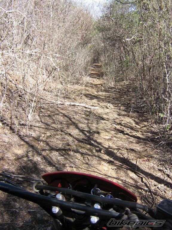 1996 HONDA NX 350 | Picture 785334 motorcycle photo