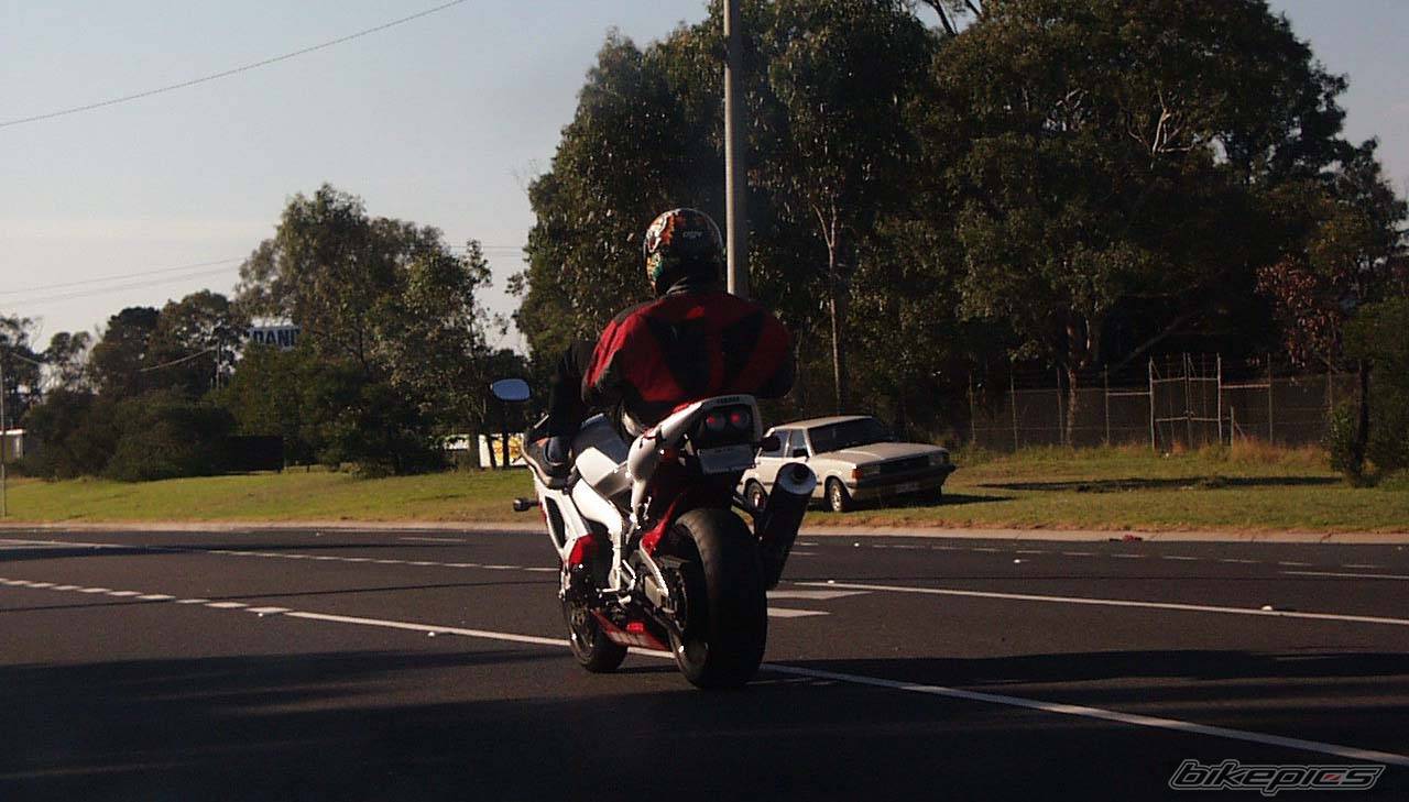 1998 YAMAHA YZF R1 | Picture 78575 motorcycle photo