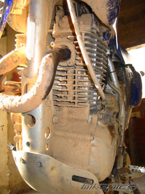 2003 YAMAHA TTR 600 | Picture 78587 motorcycle photo