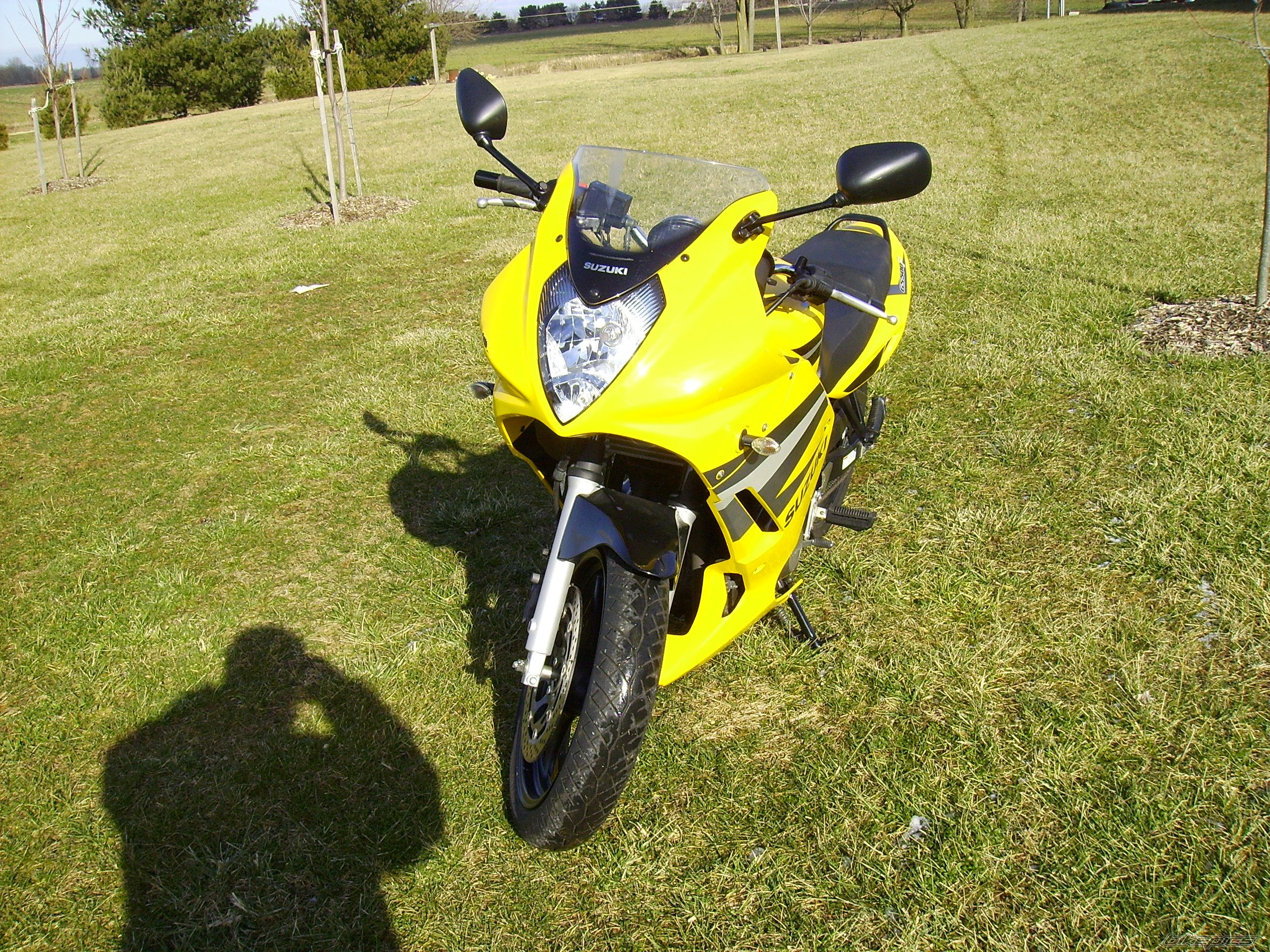 2004 SUZUKI GS 500 | Picture 786288 motorcycle photo