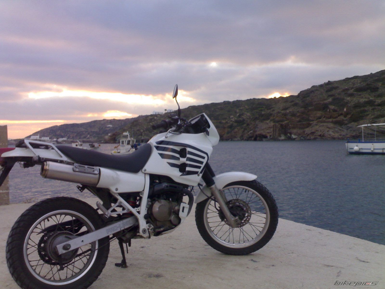 1991 HONDA NX 250 | Picture 786473 motorcycle photo