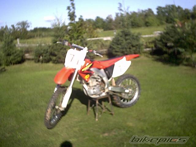 2003 HONDA CRF 450 | Picture 78671 motorcycle photo