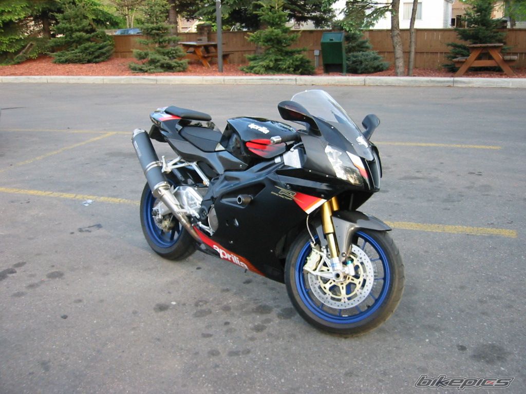 2004 APRILIA RSV MILLE FACTORY | Picture 786818 motorcycle photo