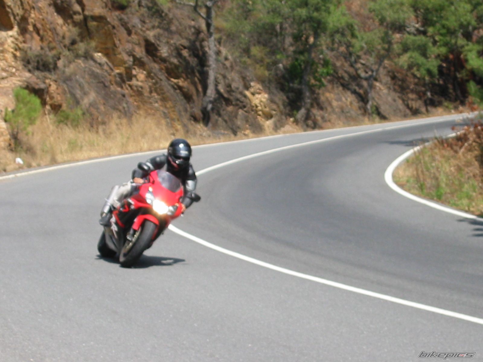 2002 HONDA CBR 900 | Picture 786833 motorcycle photo