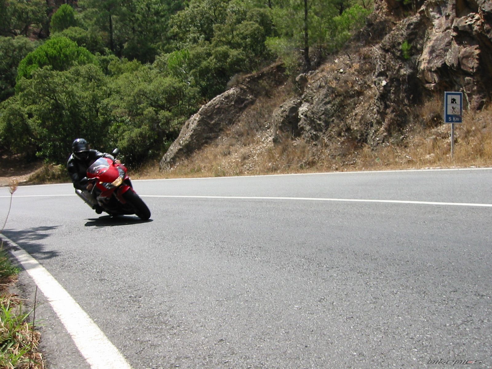 2002 HONDA CBR 900 | Picture 786835 motorcycle photo