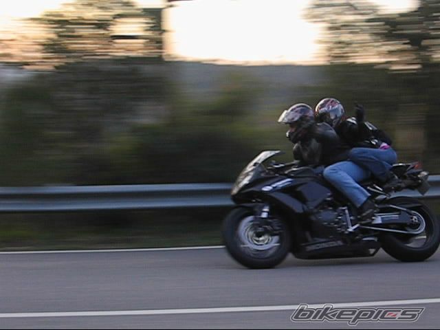 2006 HONDA CBR 1000  RR | Picture 786858 motorcycle photo
