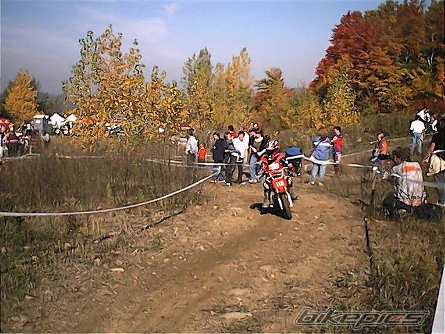2002 HONDA XR 50 | Picture 78686 motorcycle photo