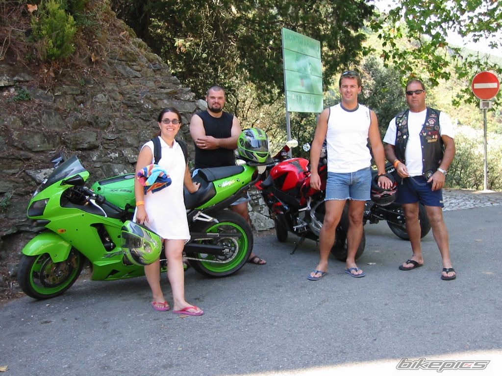 2002 HONDA CBR 900 | Picture 786868 motorcycle photo
