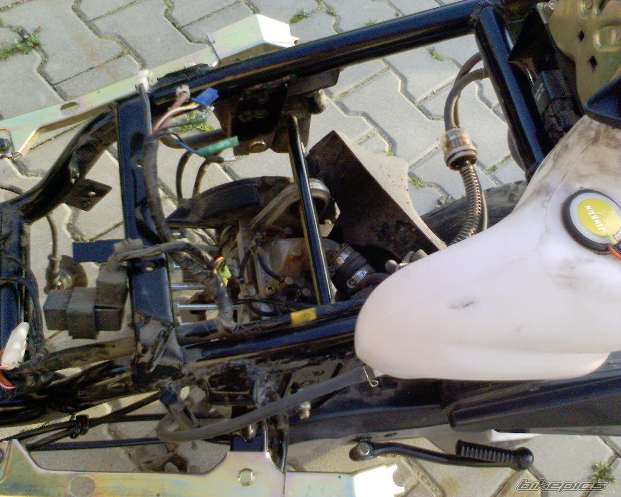 2005 TGB 303 RS | Picture 787442 motorcycle photo