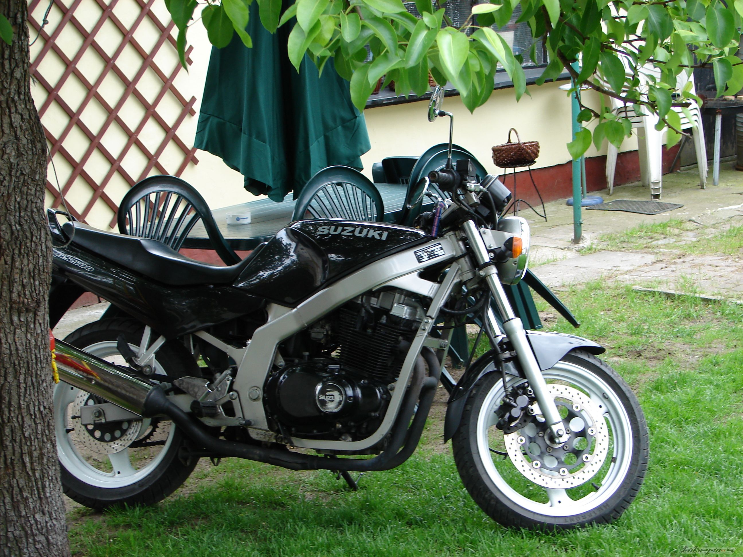 1993 SUZUKI GS 500 | Picture 787640 motorcycle photo
