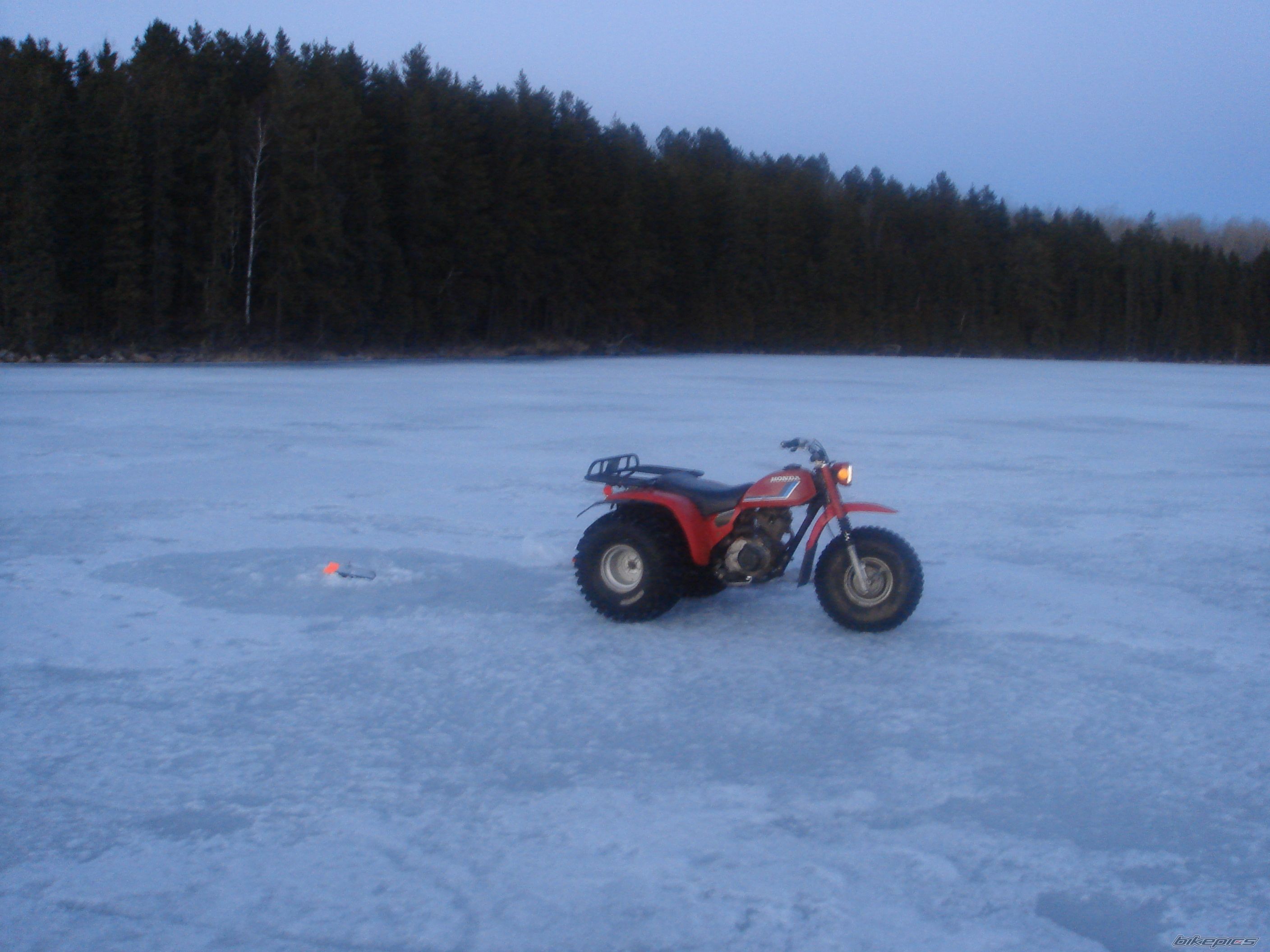 1983 HONDA ATC 200 | Picture 787892 motorcycle photo