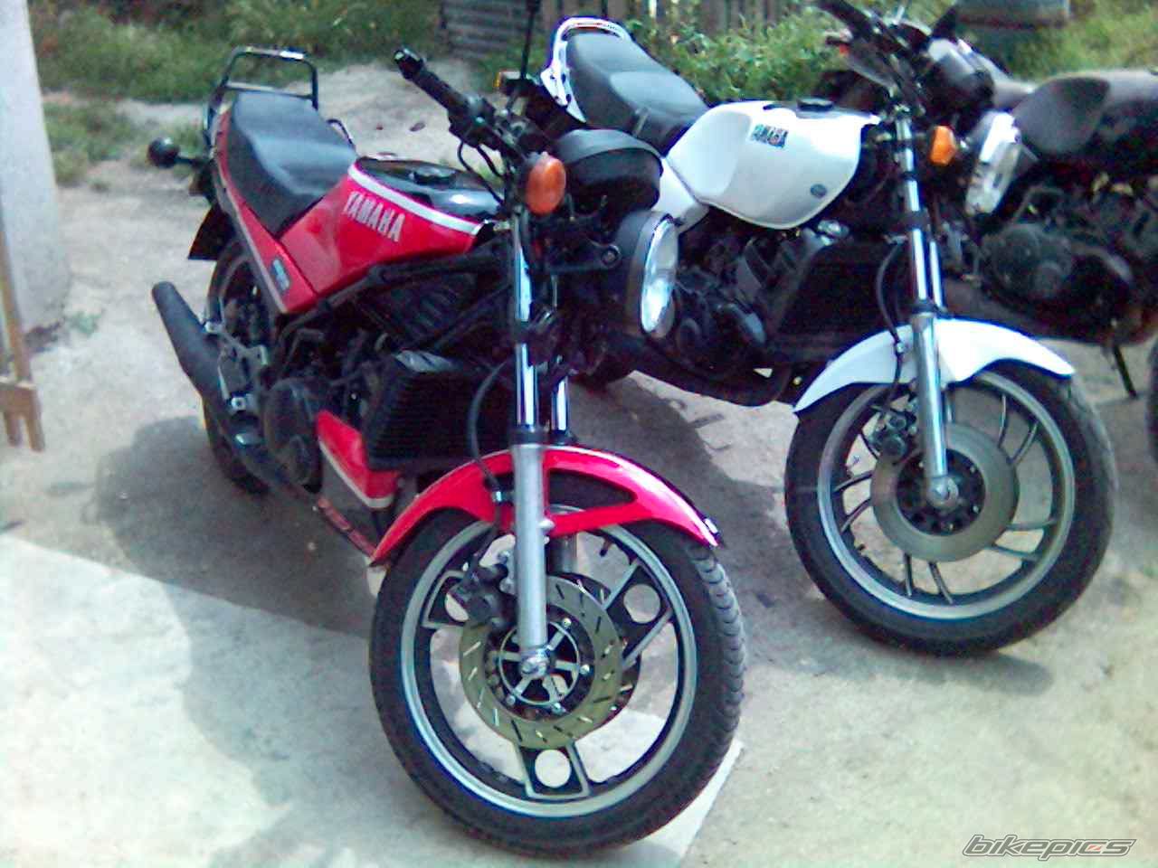 1981 YAMAHA RD 250 | Picture 787944 motorcycle photo