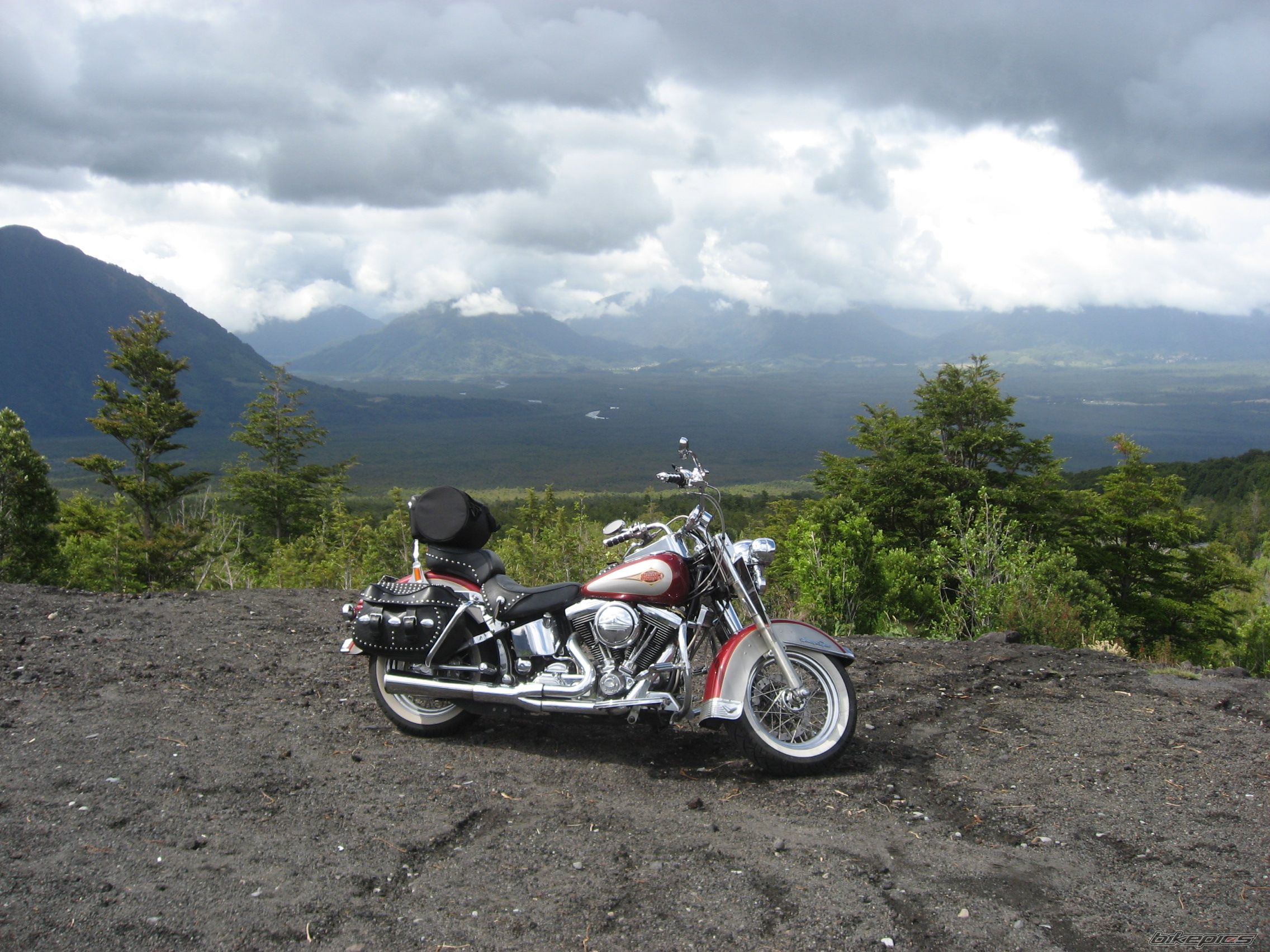 1997 HARLEY DAVIDSON FLSTC | Picture 788004 motorcycle photo