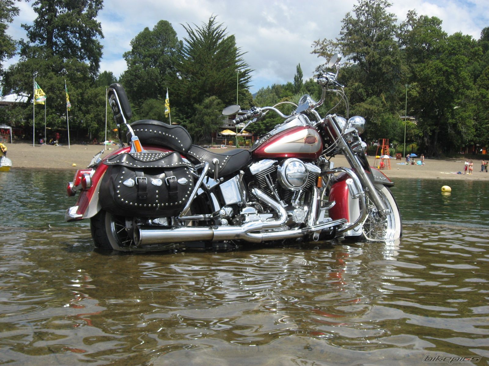 1997 HARLEY DAVIDSON FLSTC | Picture 788009 motorcycle photo