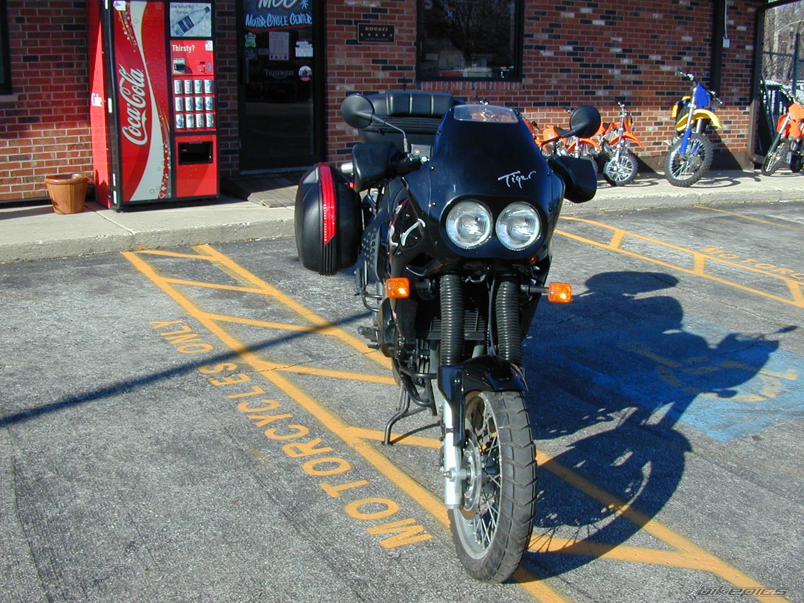 1998 TRIUMPH TIGER | Picture 788048 motorcycle photo
