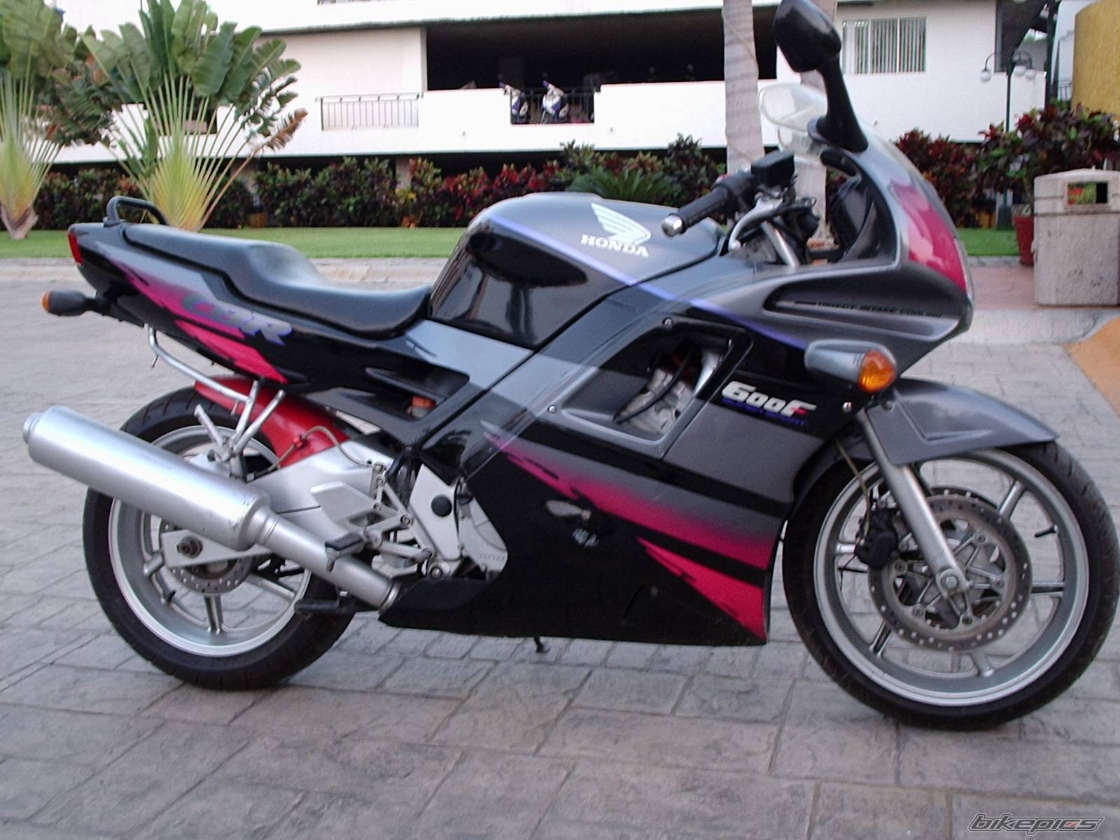 1992 HONDA CBR 600 | Picture 78869 motorcycle photo