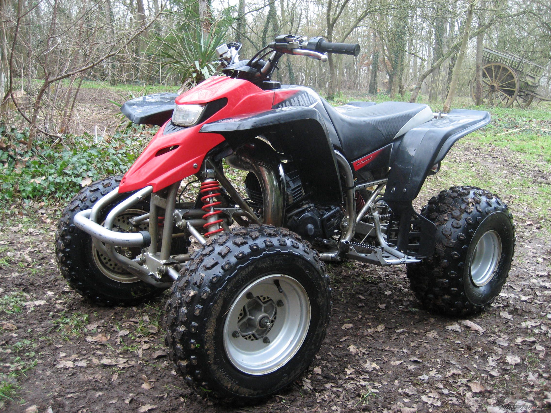 2004 YAMAHA BLASTER | Picture 789365 motorcycle photo